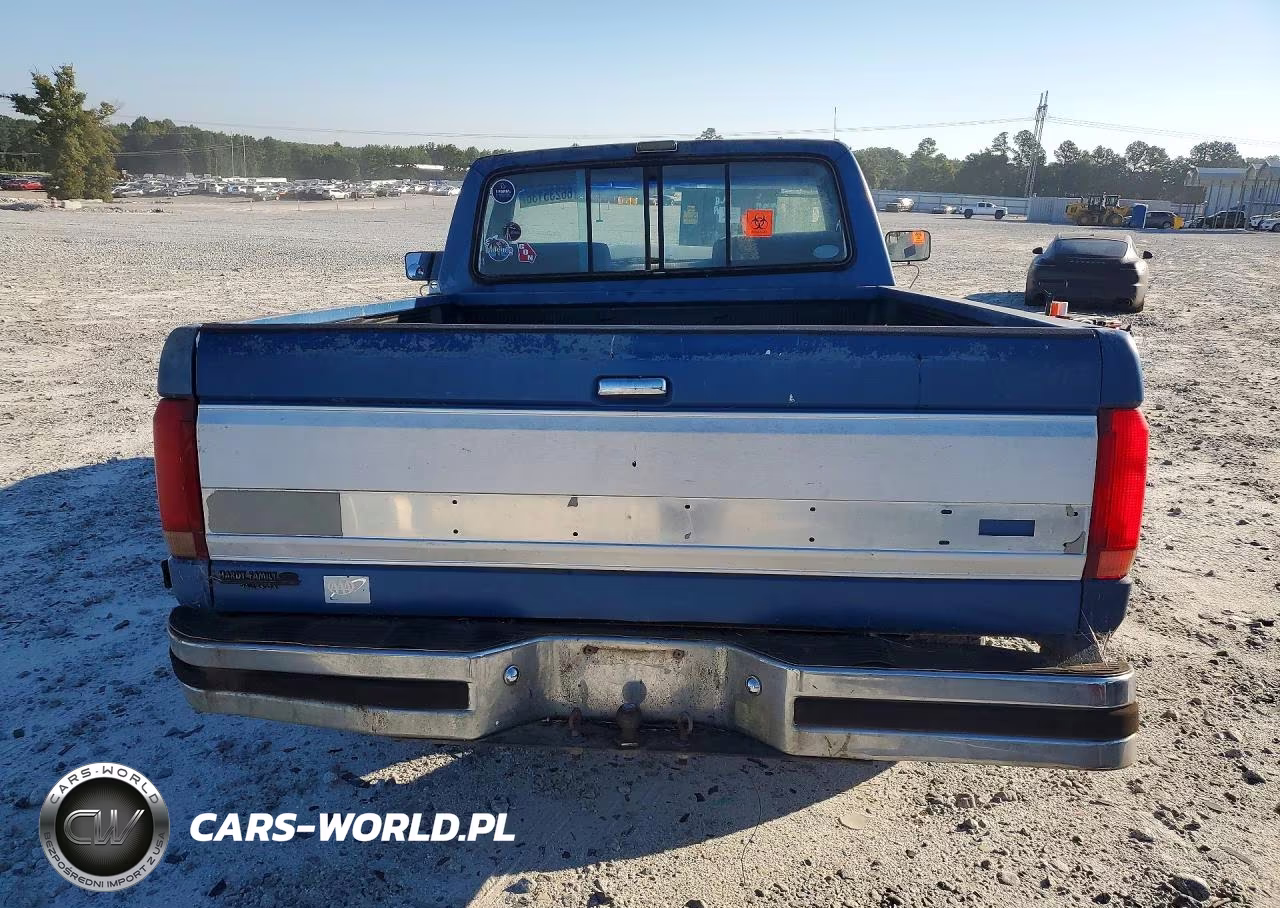 1991 Ford F150 VIN:1FTDF15Y3MNA75630 - 6
