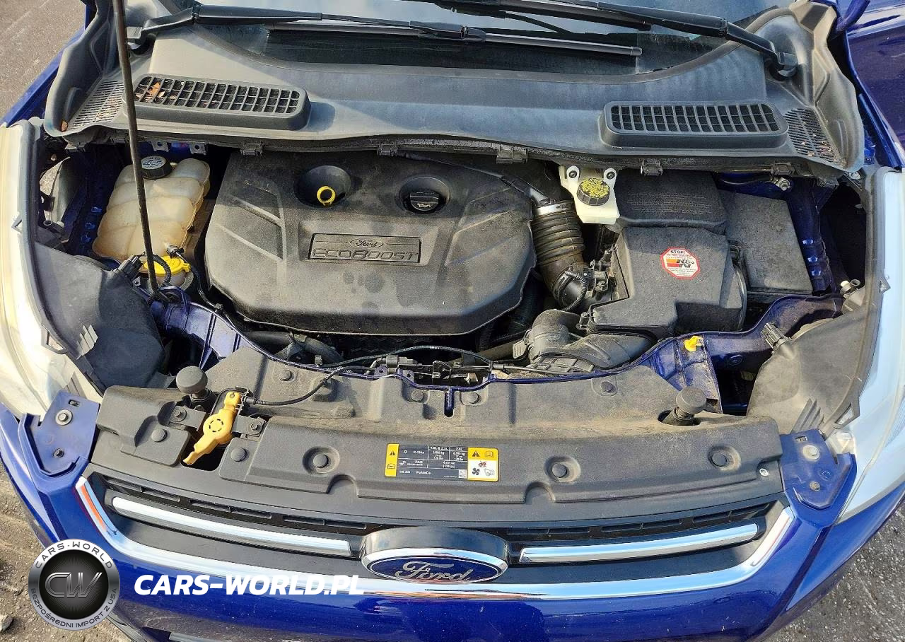 2013 Ford Escape Sel VIN:1FMCU0H9XDUB13095 - 12
