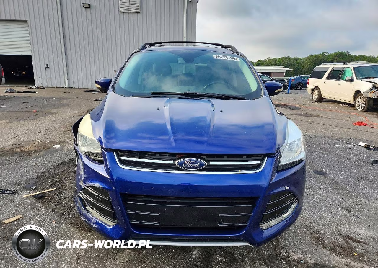2013 Ford Escape Sel VIN:1FMCU0H9XDUB13095 - 5