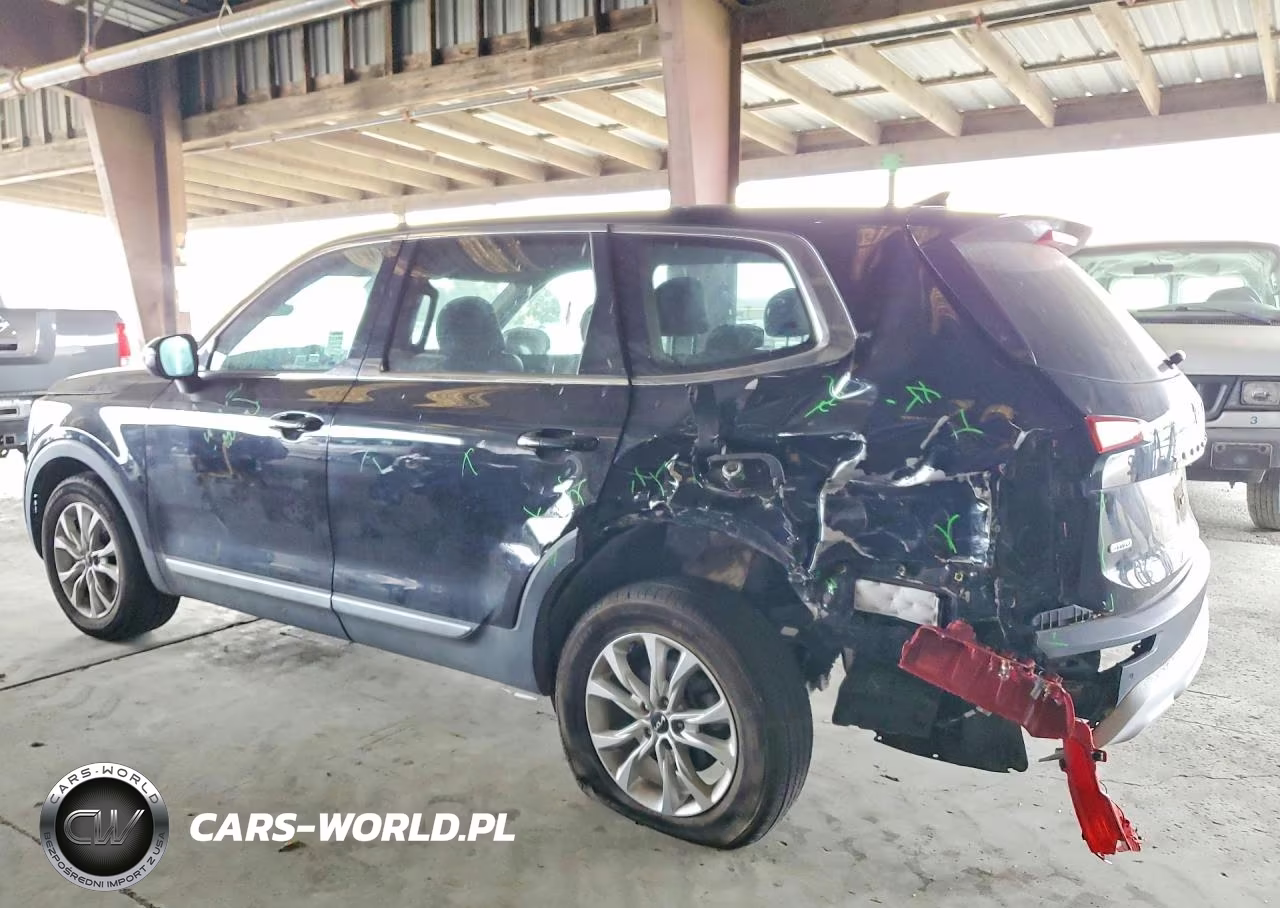 2022 Kia Telluride Lx VIN:5XYP2DHC9NG212606 - 2