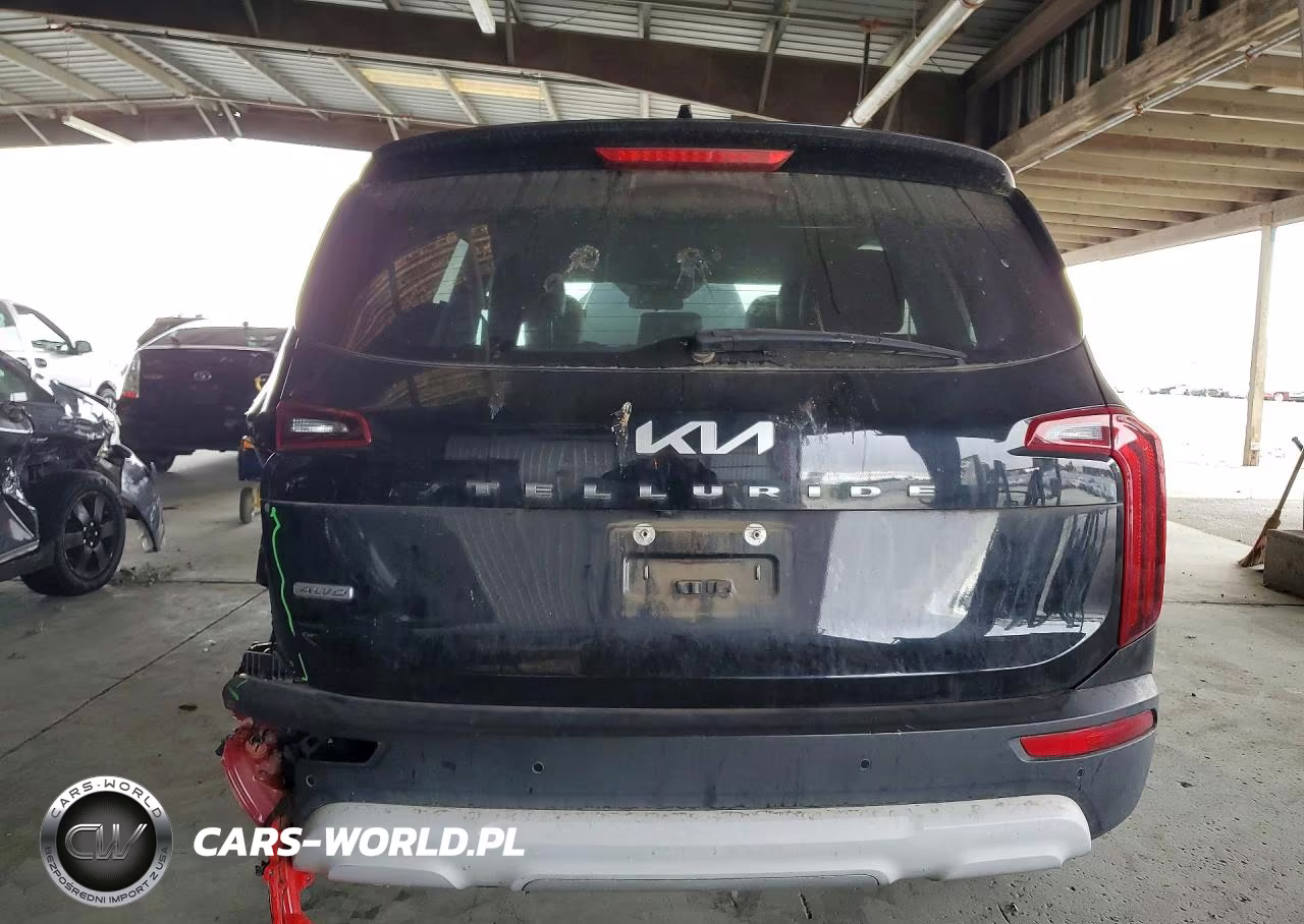 2022 Kia Telluride Lx VIN:5XYP2DHC9NG212606 - 6