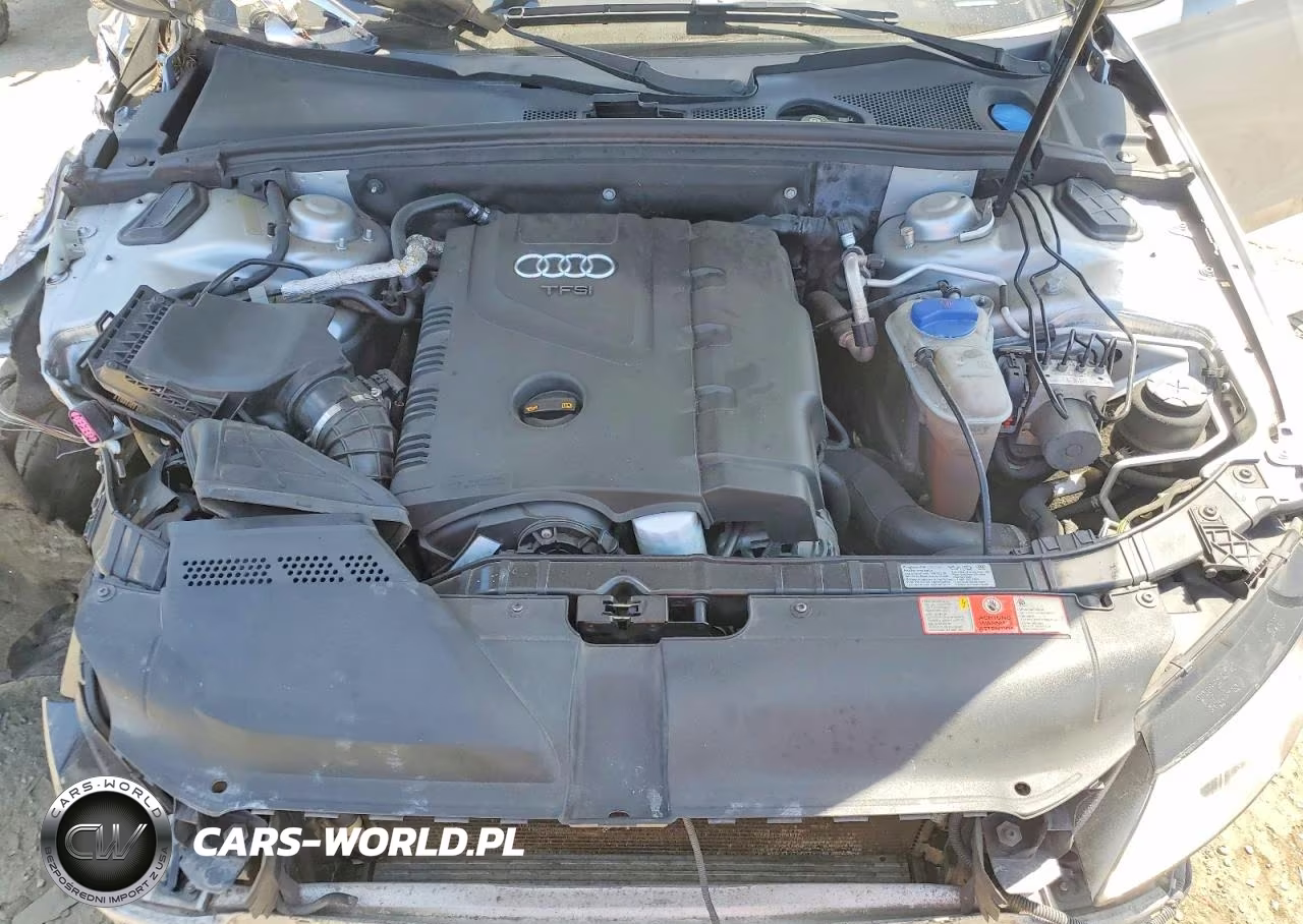 2010 Audi A4 Premium Plus VIN:WAUHFAFL6AN003589 - 11