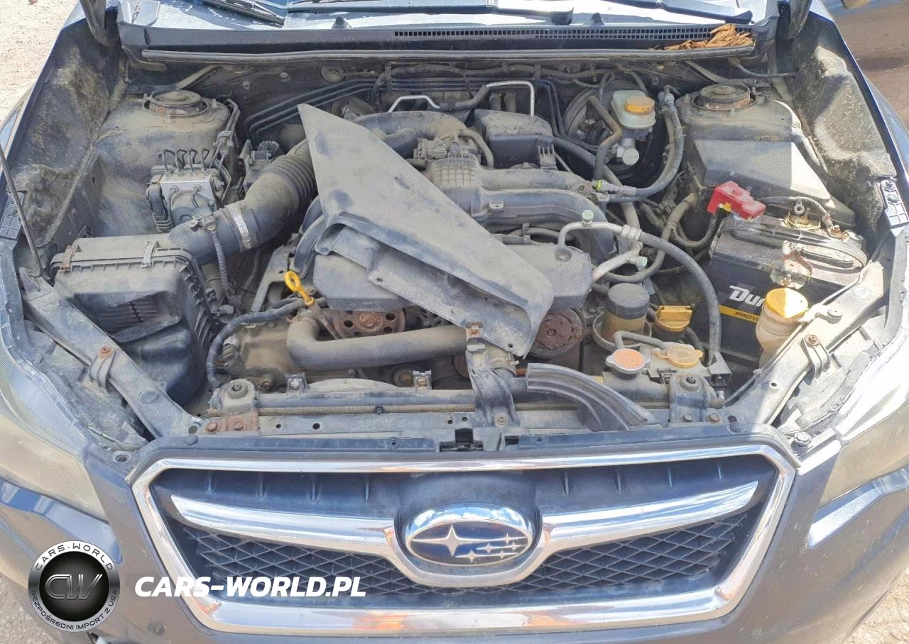 2013 Subaru Xv Crosstrek 2.0 Premium VIN:JF2GPAVC0D2883810 - 12