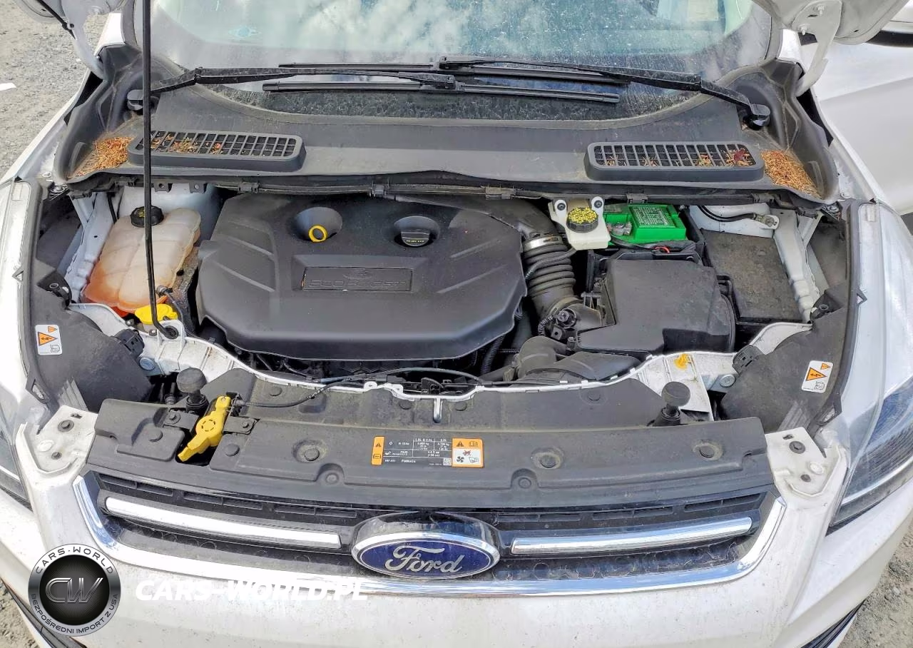 2014 Ford Escape Titanium VIN:1FMCU9J98EUD02053 - 12