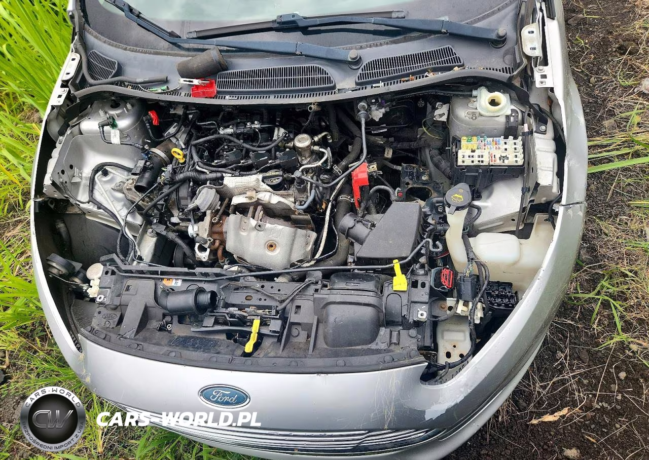 2017 Ford Fiesta Se VIN:3FADP4BE8HM123539 - 11