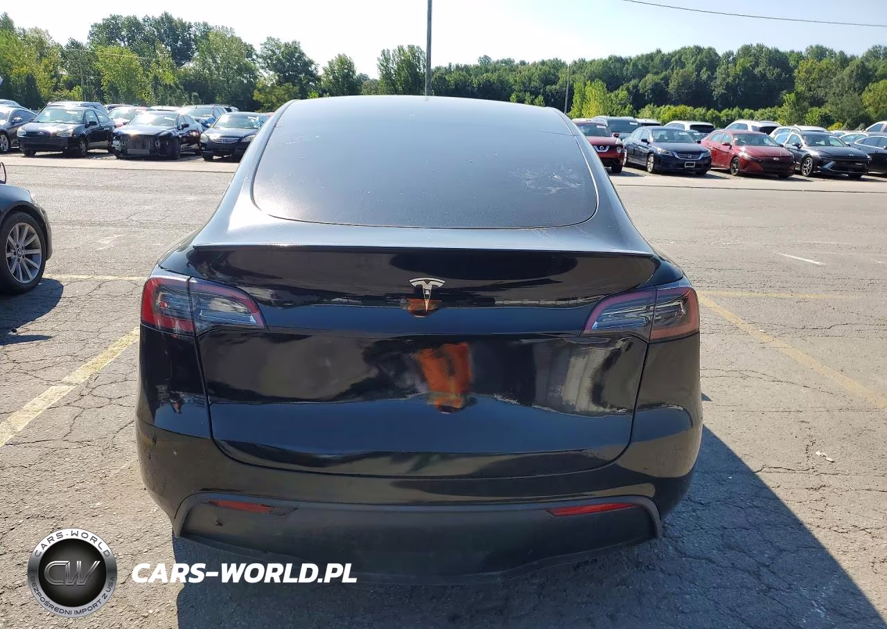 2023 Tesla Model Y VIN:7SAYGDEF7PF846739 - 6