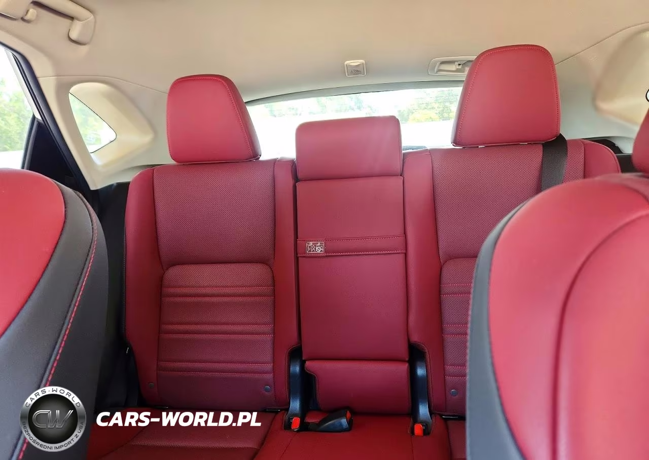 2021 Lexus Nx 300 Base VIN:JTJDARBZ7M2195584 - 10