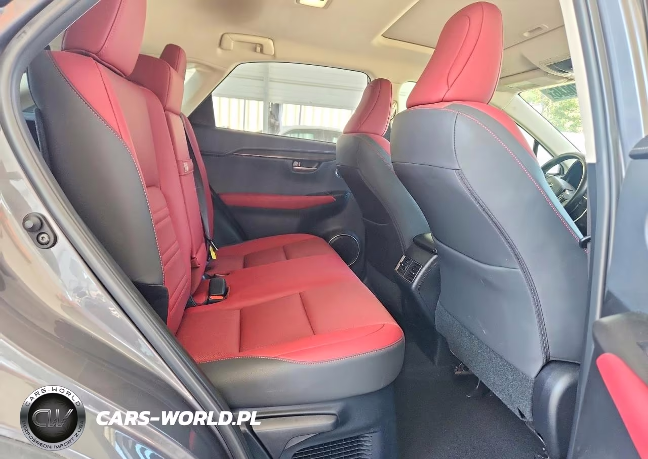 2021 Lexus Nx 300 Base VIN:JTJDARBZ7M2195584 - 11