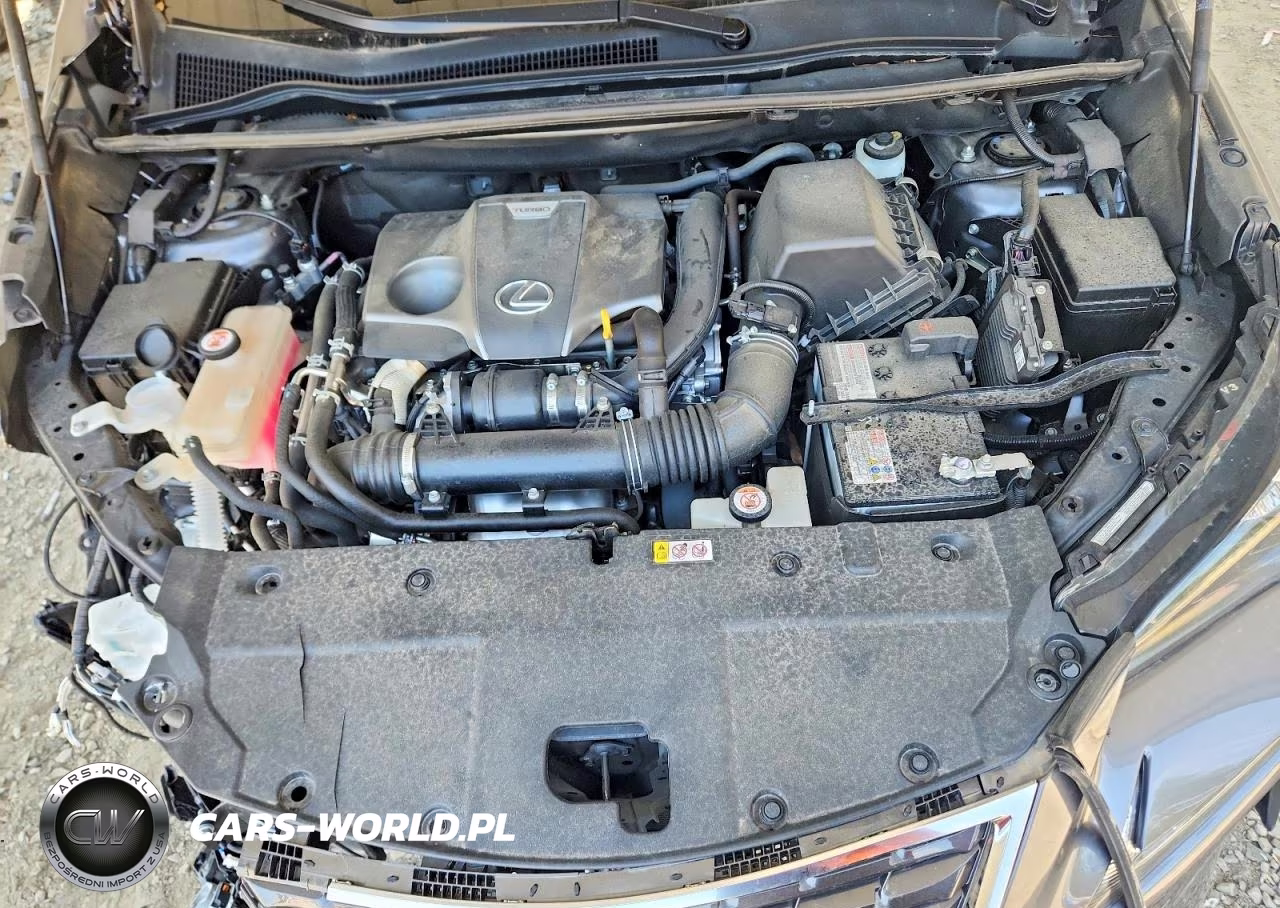 2021 Lexus Nx 300 Base VIN:JTJDARBZ7M2195584 - 12
