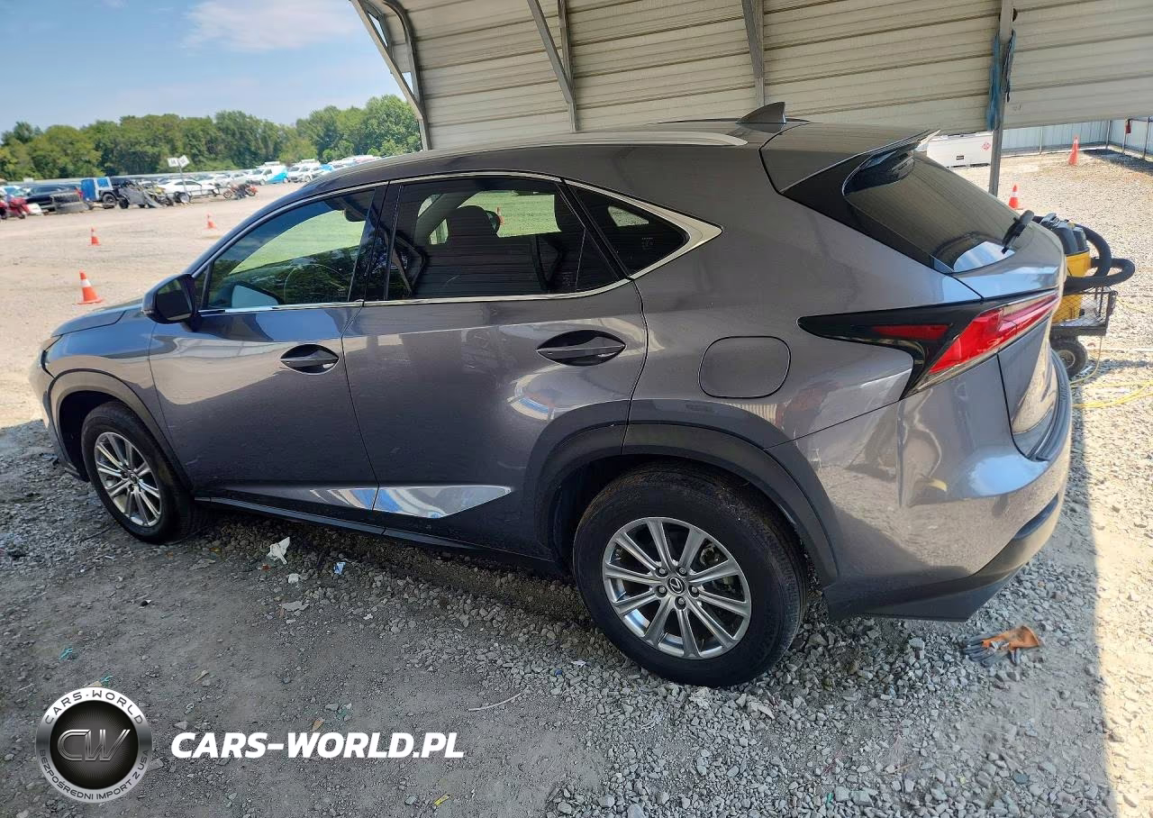 2021 Lexus Nx 300 Base VIN:JTJDARBZ7M2195584 - 2