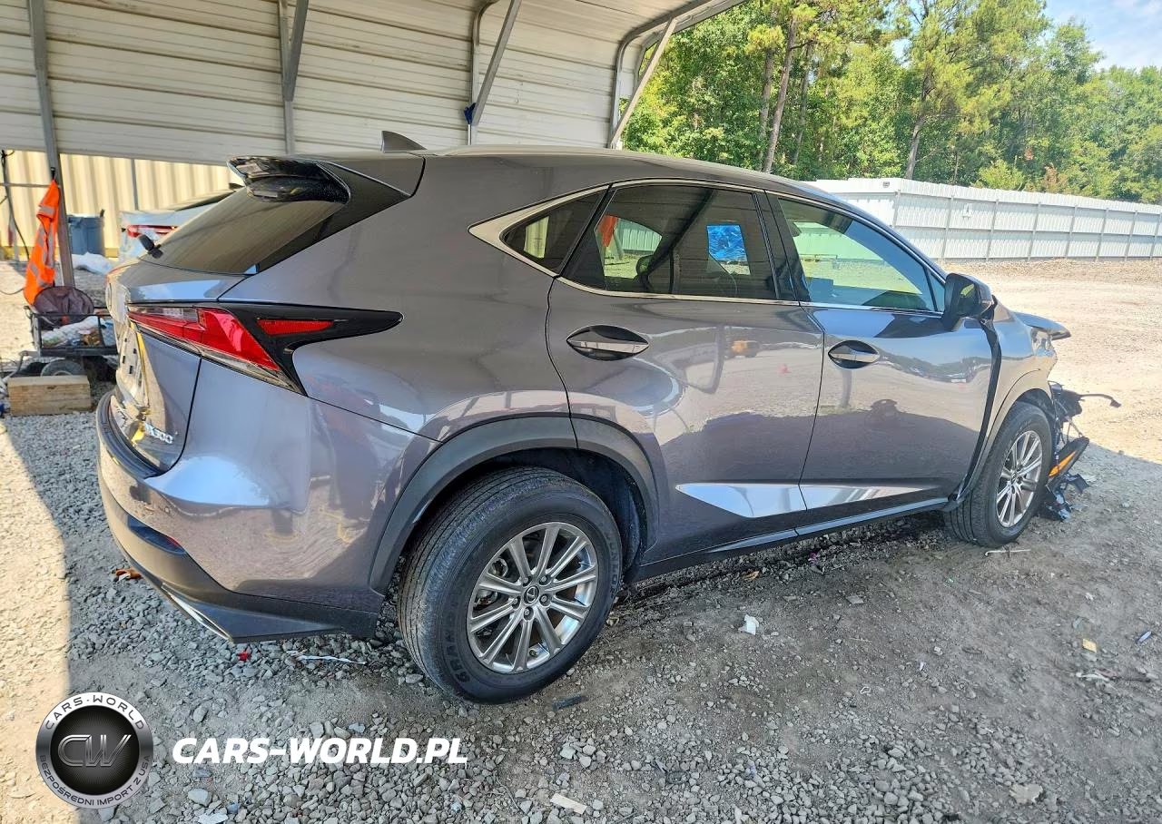 2021 Lexus Nx 300 Base VIN:JTJDARBZ7M2195584 - 3