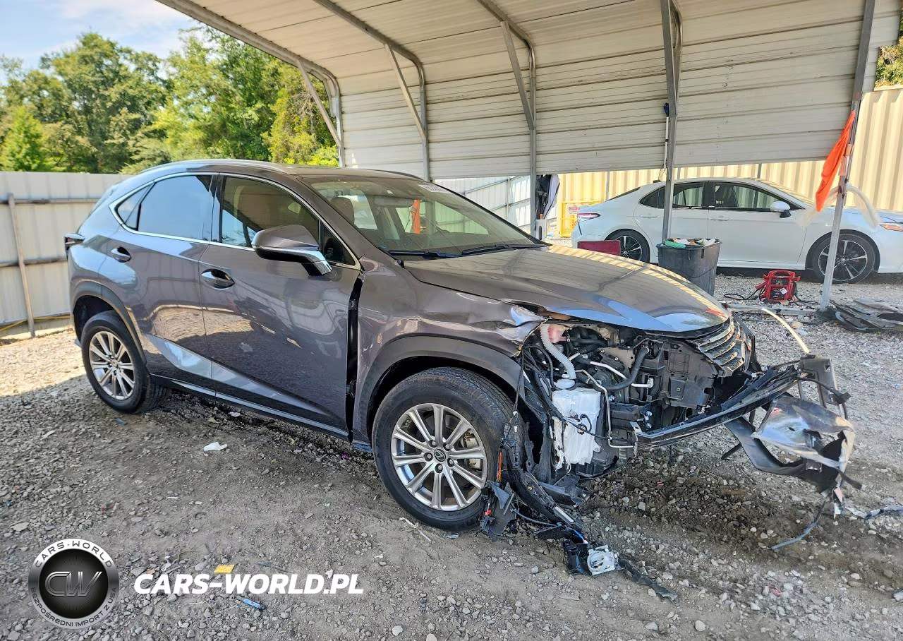 2021 Lexus Nx 300 Base VIN:JTJDARBZ7M2195584 - 4