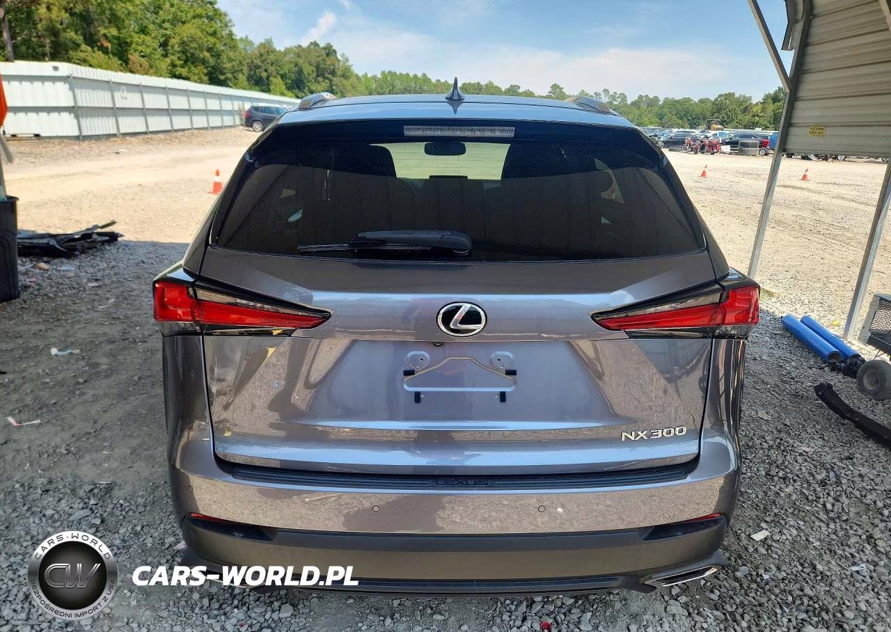 2021 Lexus Nx 300 Base VIN:JTJDARBZ7M2195584 - 6