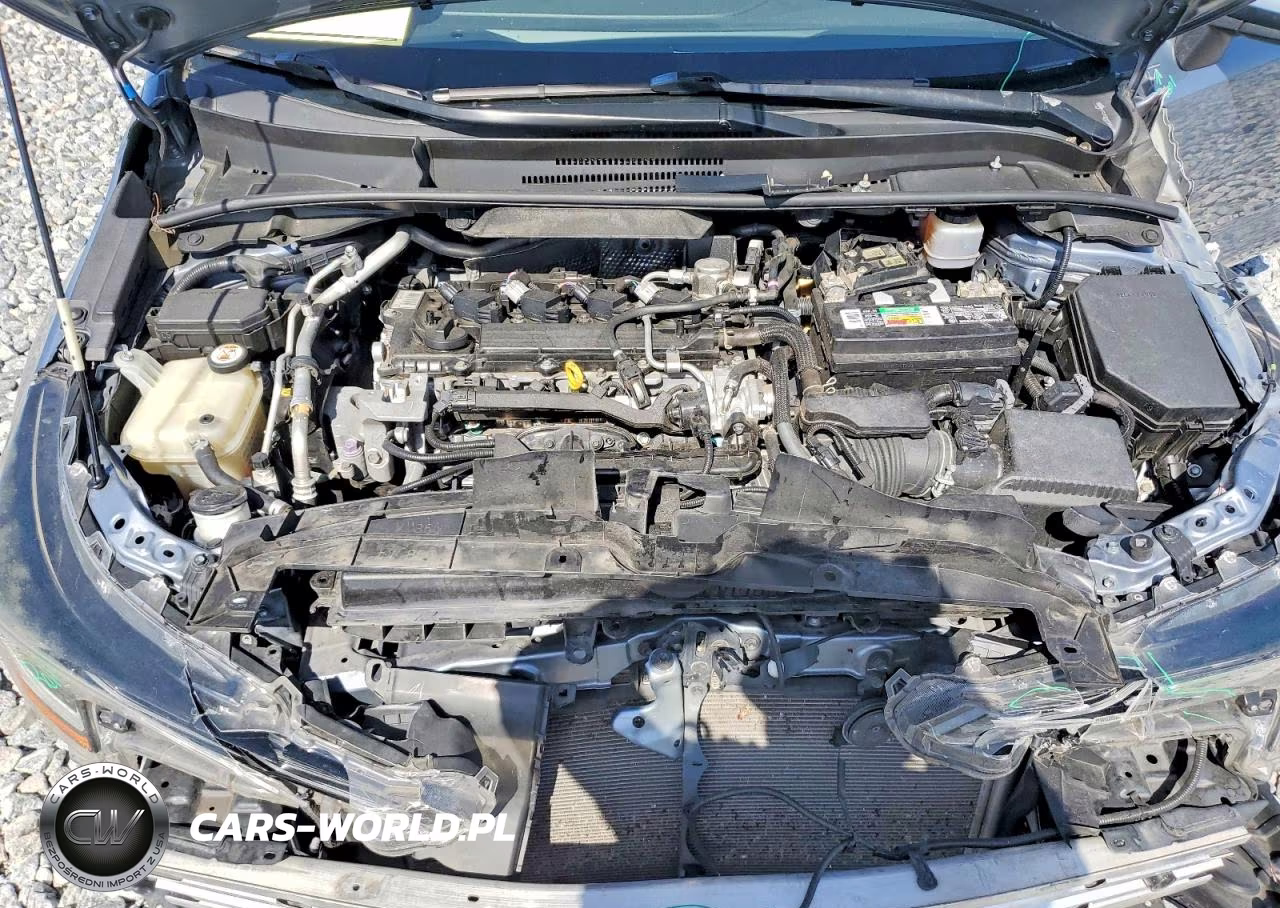 2020 Toyota Corolla Se VIN:JTDS4RCE4LJ001191 - 11