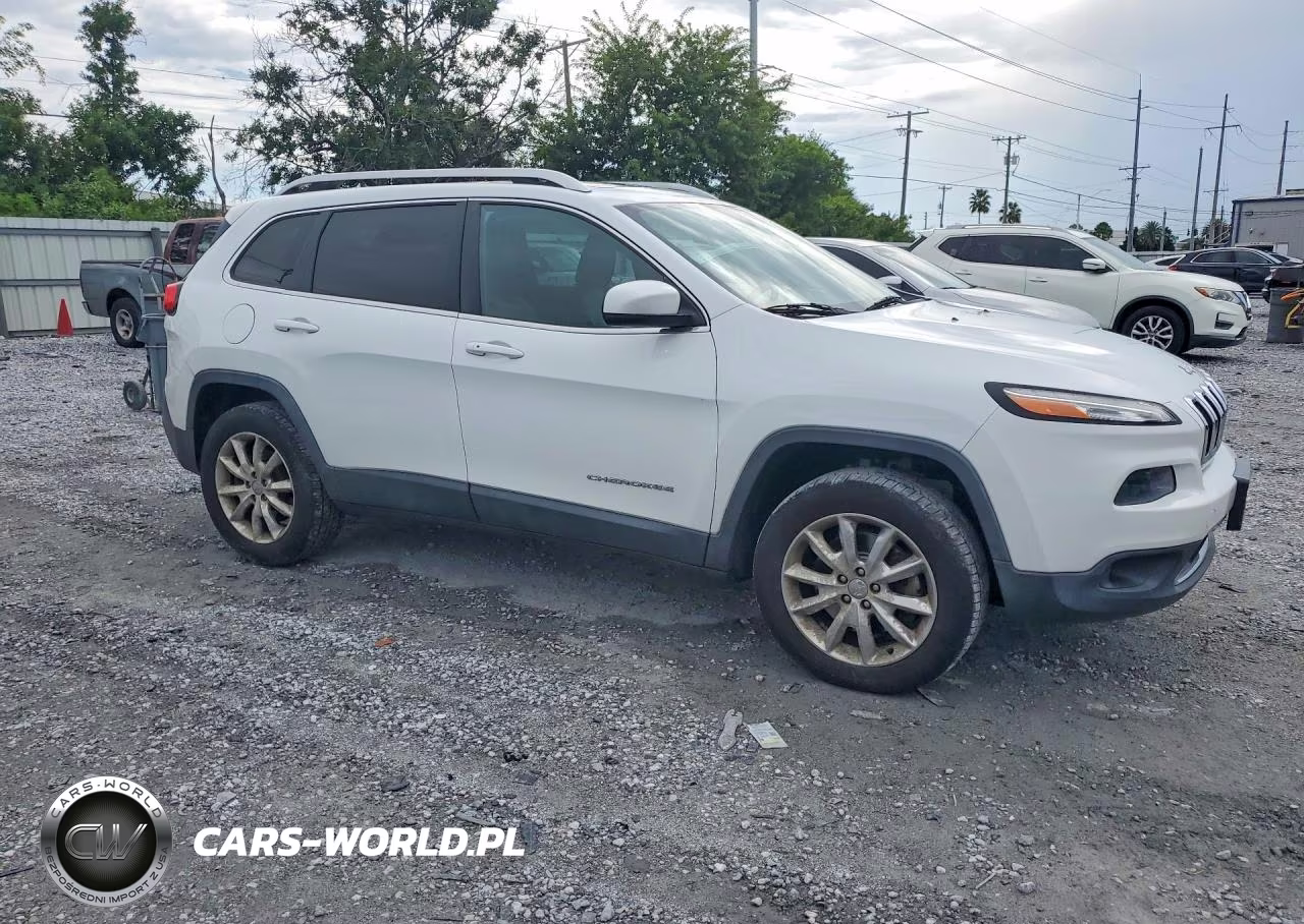 2014 Jeep Cherokee Limited VIN:1C4PJMDS6EW166770 - 4