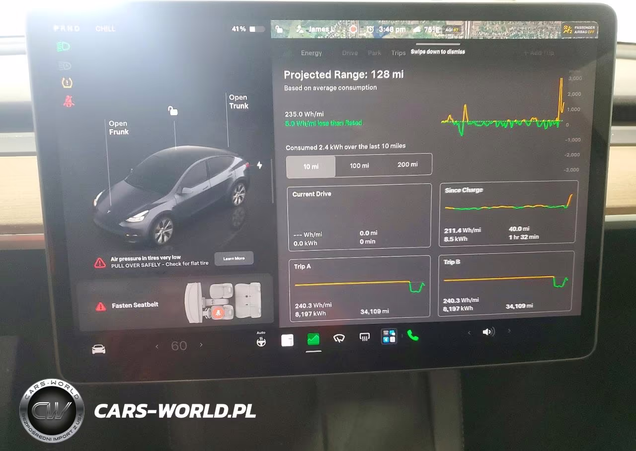 2023 Tesla Model Y VIN:7SAYGDEE6PF876645 - 9