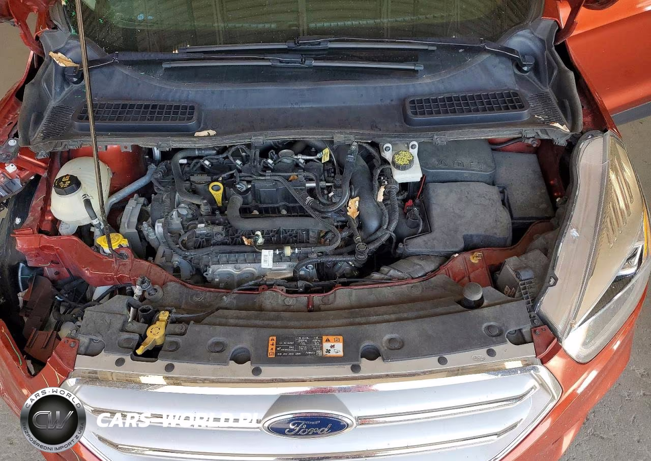 2019 Ford Escape Sel VIN:1FMCU9HDXKUC30231 - 12