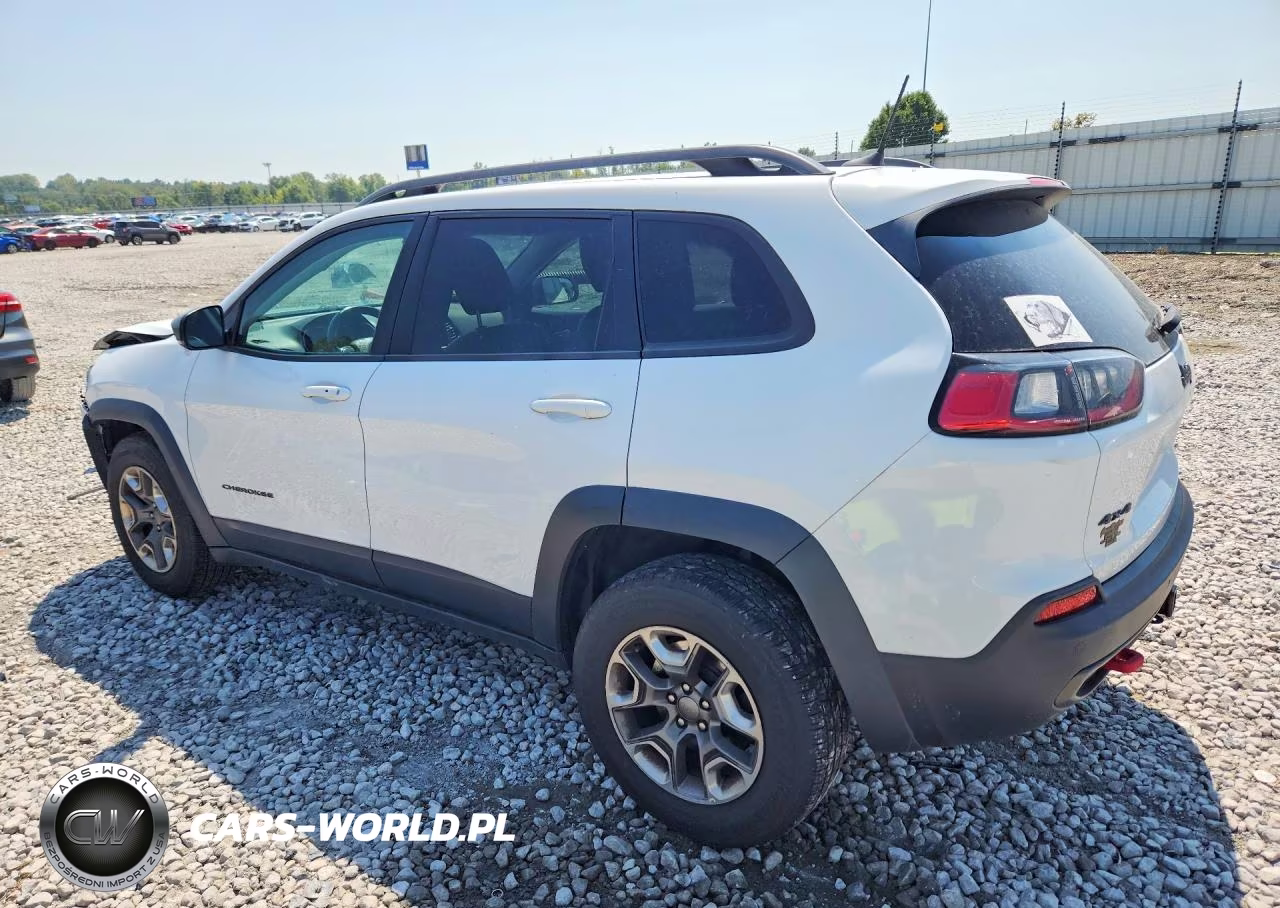 2019 Jeep Cherokee Trailhawk VIN:1C4PJMBX9KD138399 - 2