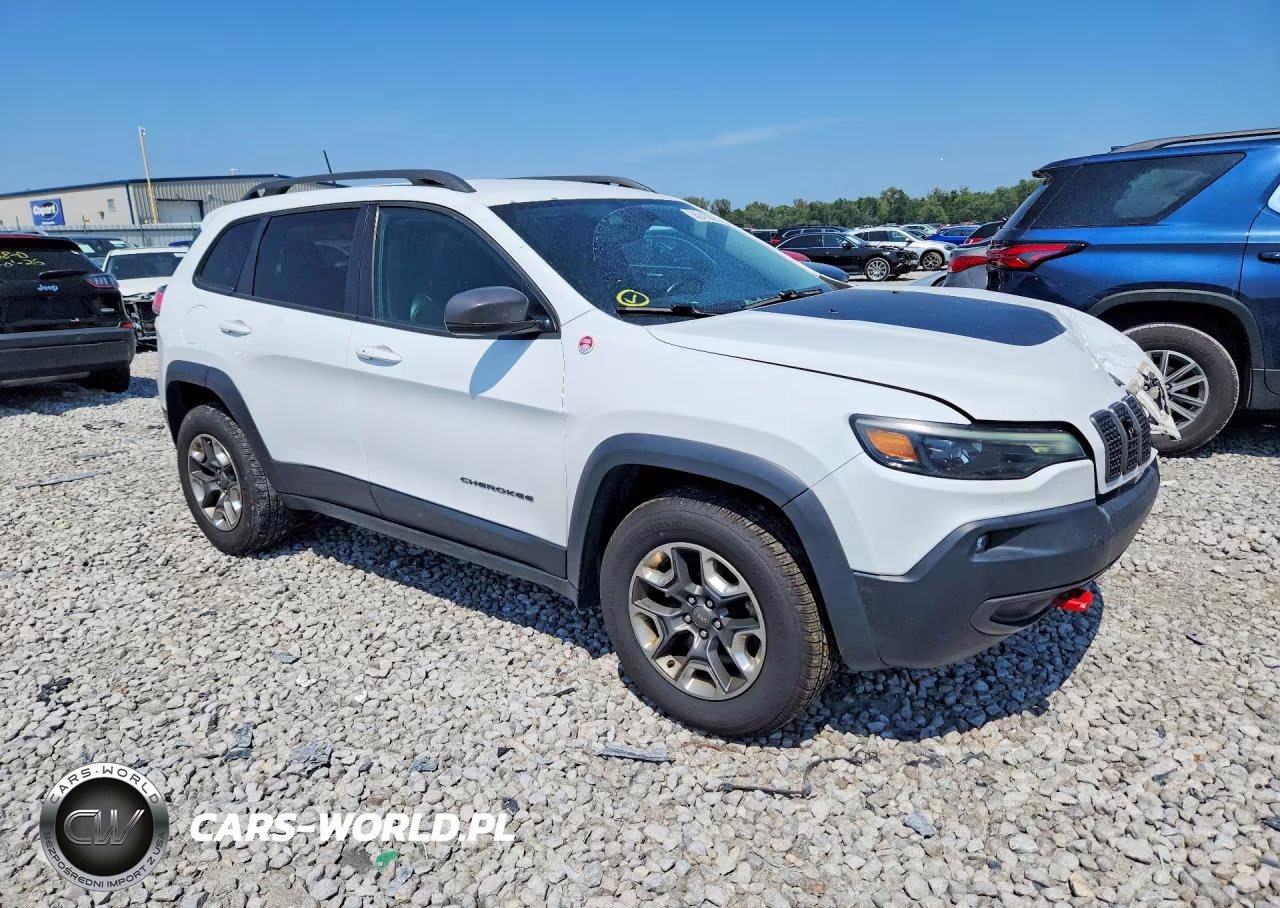 2019 Jeep Cherokee Trailhawk VIN:1C4PJMBX9KD138399 - 4