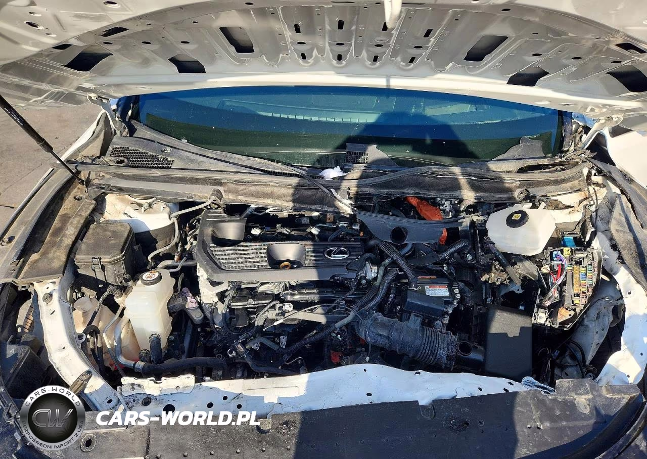 2023 Lexus Rx 350H Luxury VIN:2T2BBMCA6PC022269 - 12