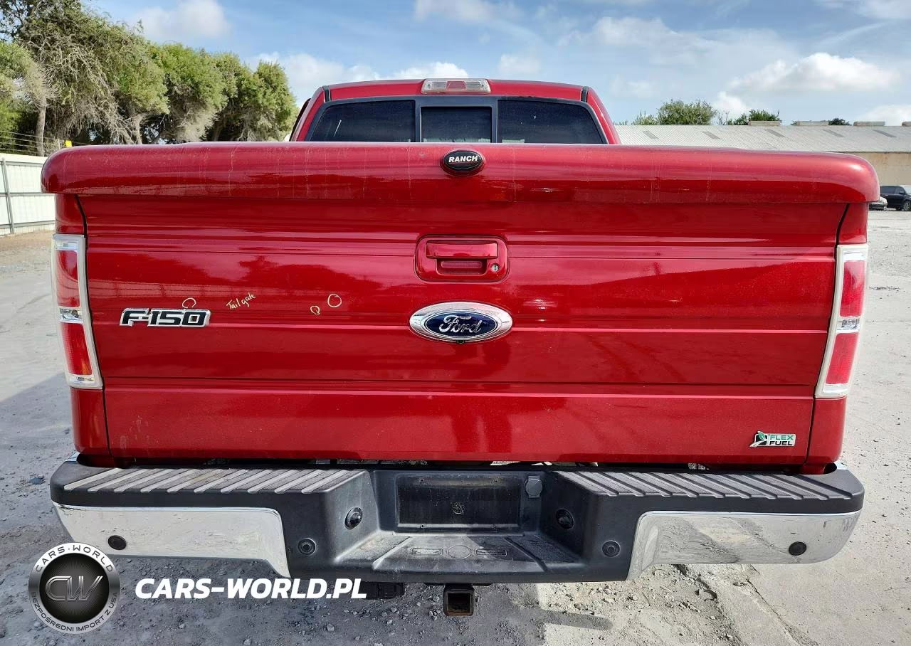 2010 Ford F150 Supercrew VIN:1FTFW1EVXAFA77377 - 6