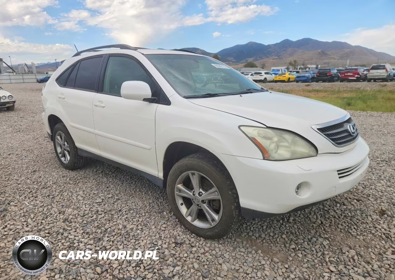 2006 Lexus Rx 400 VIN:JTJHW31U360049235 - 4