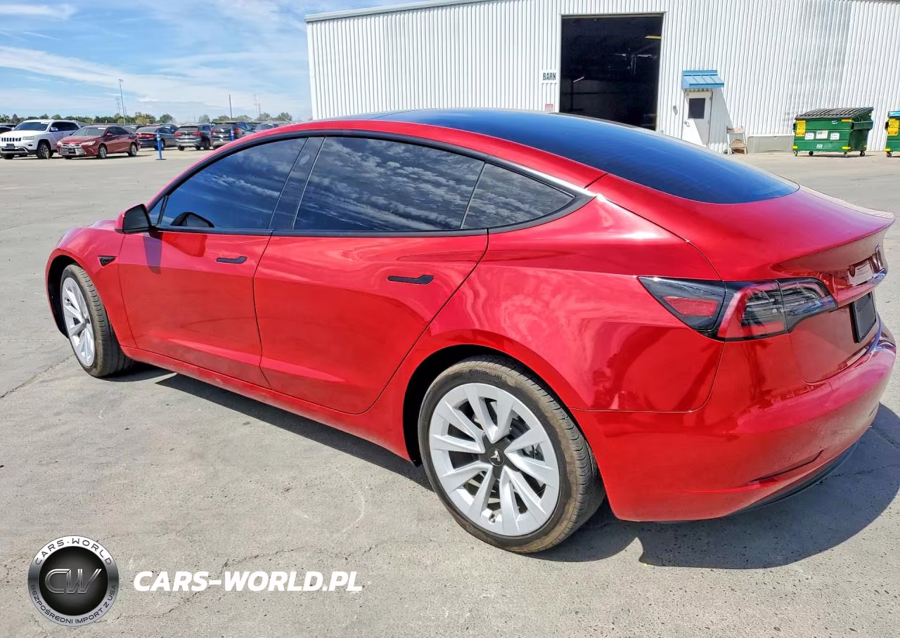 2023 Tesla Model 3 VIN:5YJ3E1EA3PF461890 - 2