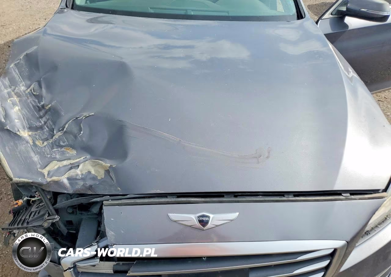 2015 Hyundai Genesis 5.0L VIN:KMHGN4JF8FU076119 - 11