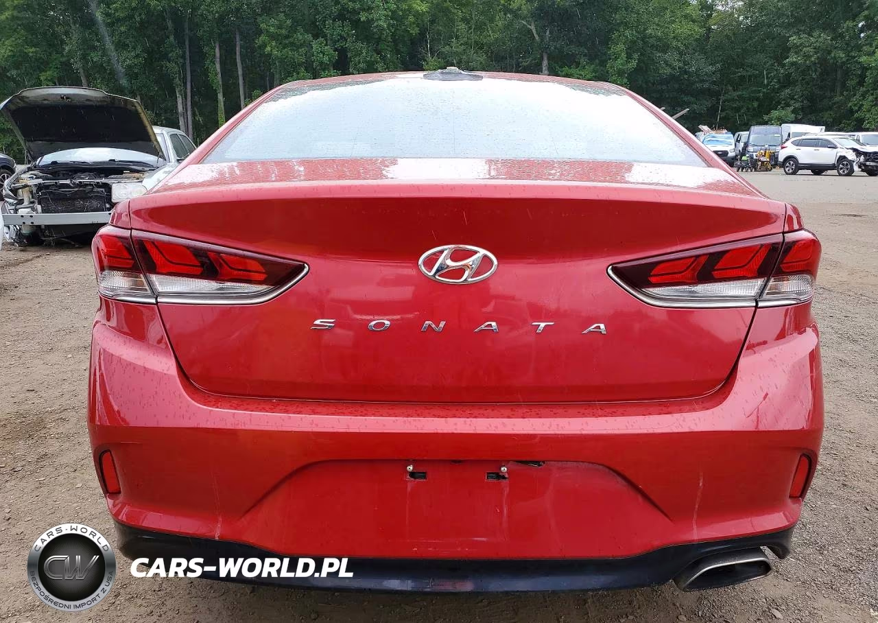2018 Hyun Sonata Sel VIN:5NPE34AF4JH631457 - 6