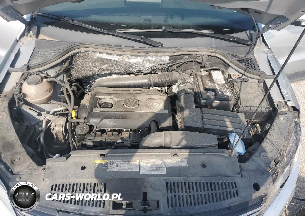 2017 Volkswagen Tiguan S VIN:WVGAV7AX4HK054441 - 12