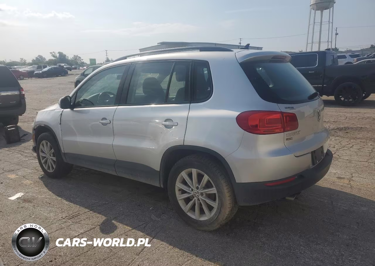 2017 Volkswagen Tiguan S VIN:WVGAV7AX4HK054441 - 2