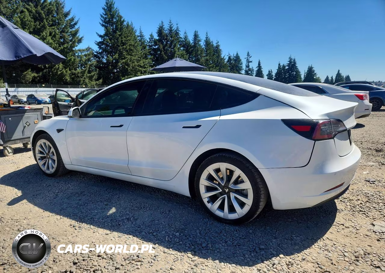 2021 Tesla Model 3 VIN:5YJ3E1EB0MF868988 - 2
