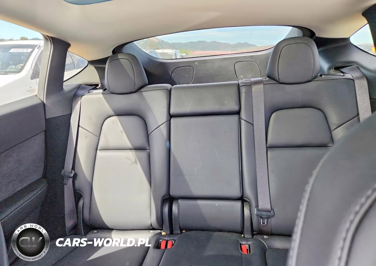 2024 Tesla Model Y VIN:7SAYGDEE3RF003101 - 10