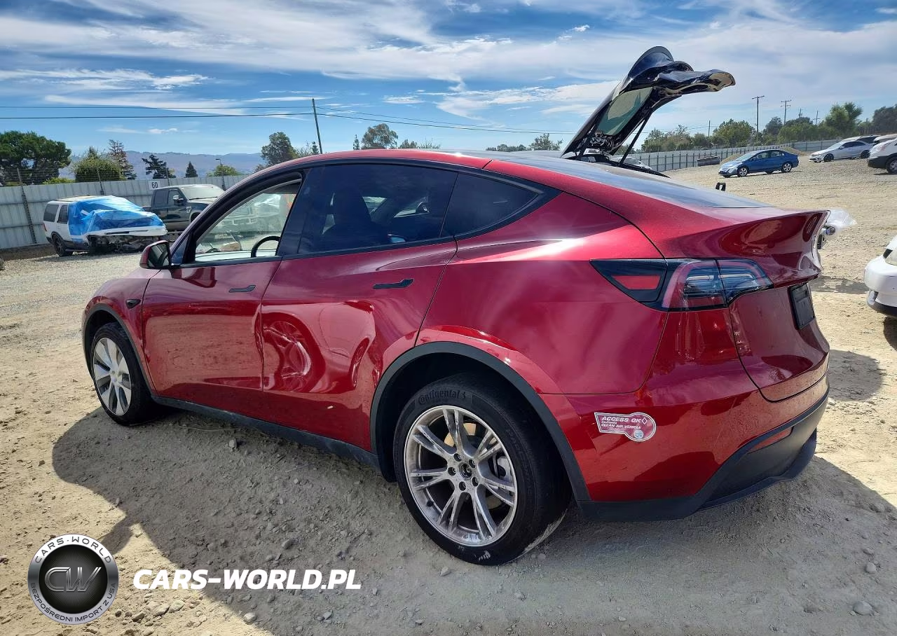 2024 Tesla Model Y VIN:7SAYGDEE3RF003101 - 2