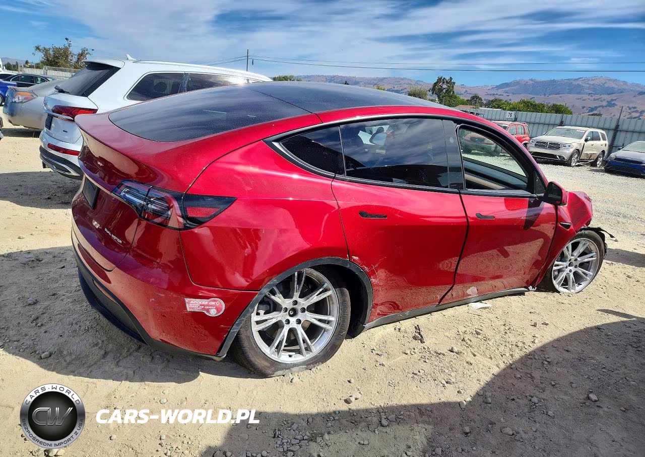2024 Tesla Model Y VIN:7SAYGDEE3RF003101 - 3