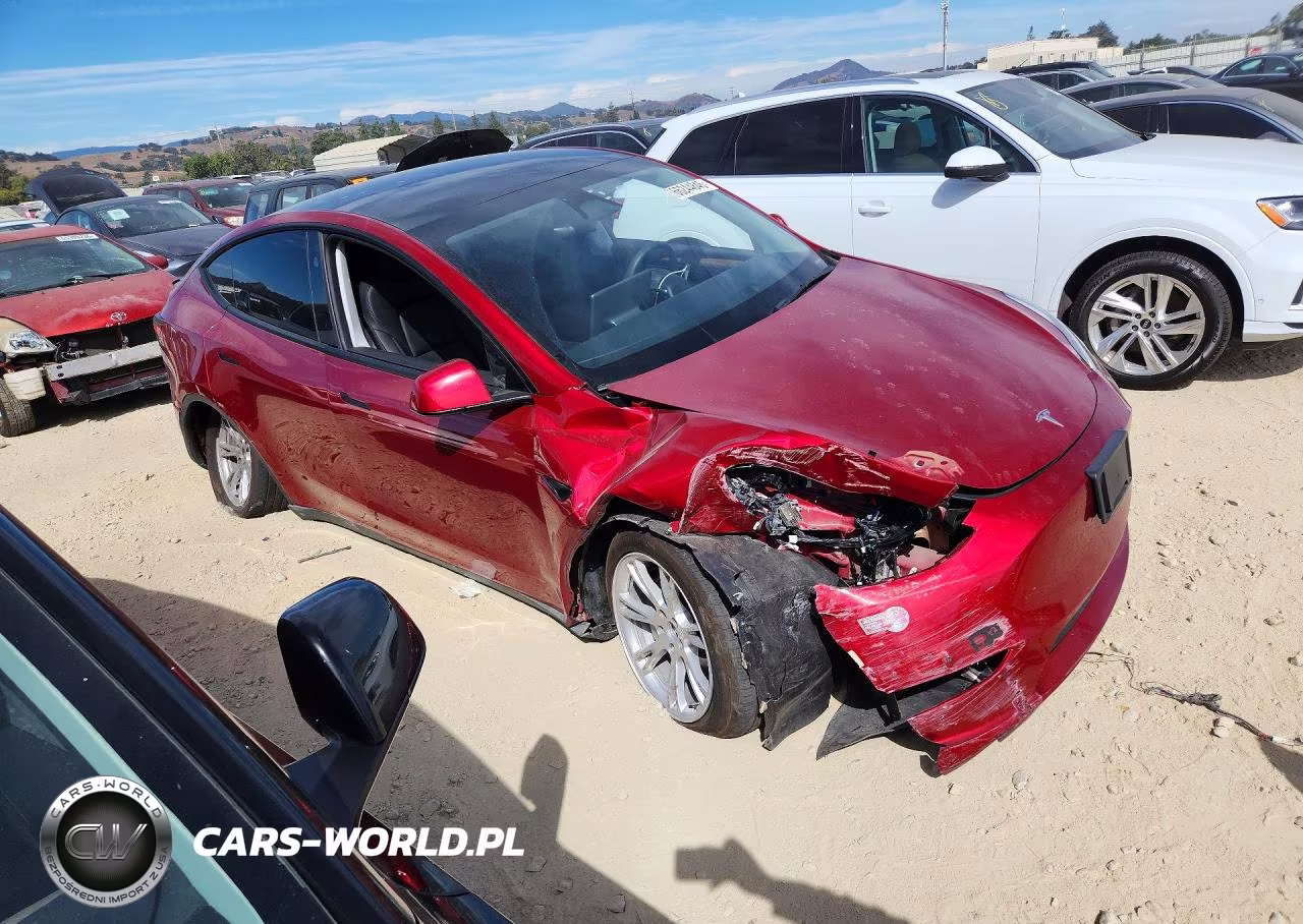 2024 Tesla Model Y VIN:7SAYGDEE3RF003101 - 4
