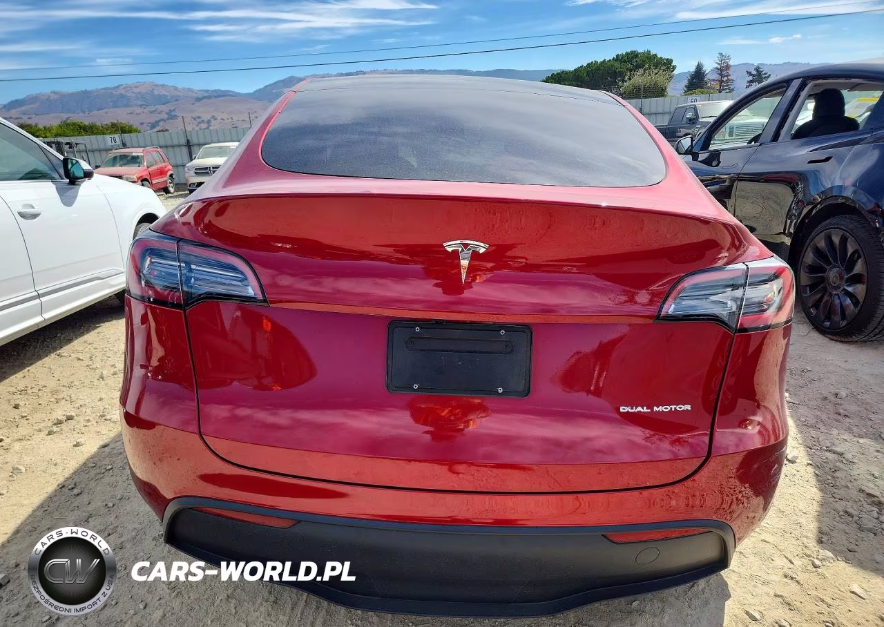 2024 Tesla Model Y VIN:7SAYGDEE3RF003101 - 6