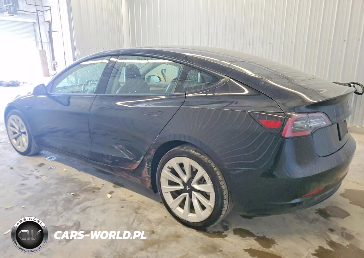 2023 Tesla Model 3 VIN:5YJ3E1EA4PF436402 - 2