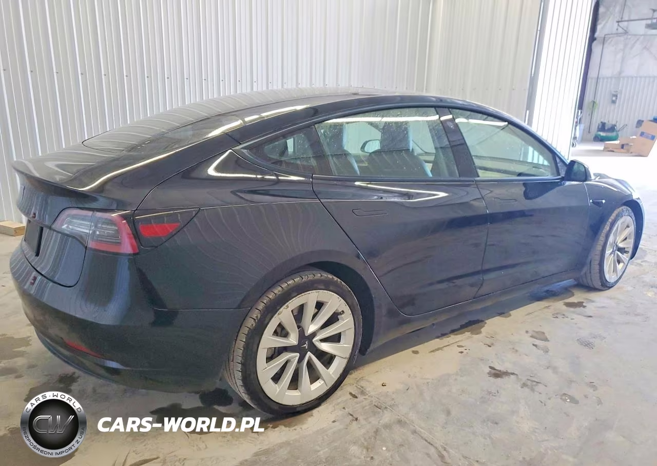 2023 Tesla Model 3 VIN:5YJ3E1EA4PF436402 - 3