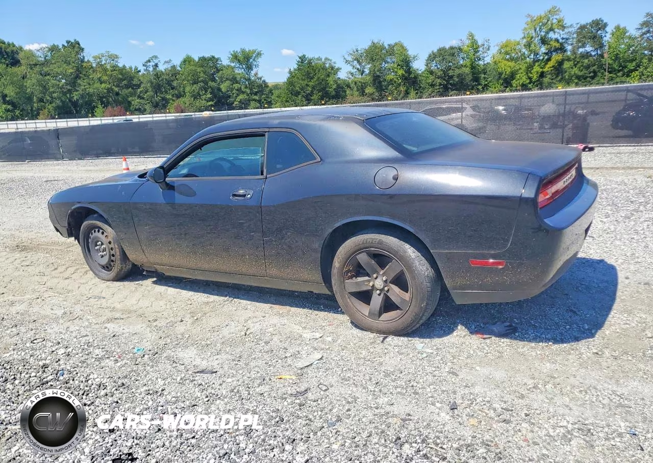 2010 Dodge Challenger Se VIN:2B3CJ4DV2AH238311 - 2