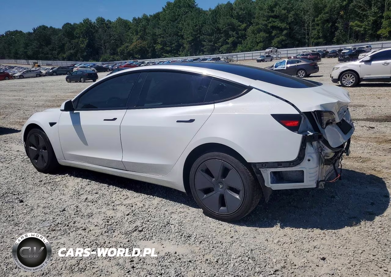 2023 Tesla Model 3 VIN:5YJ3E1EB7PF389441 - 2