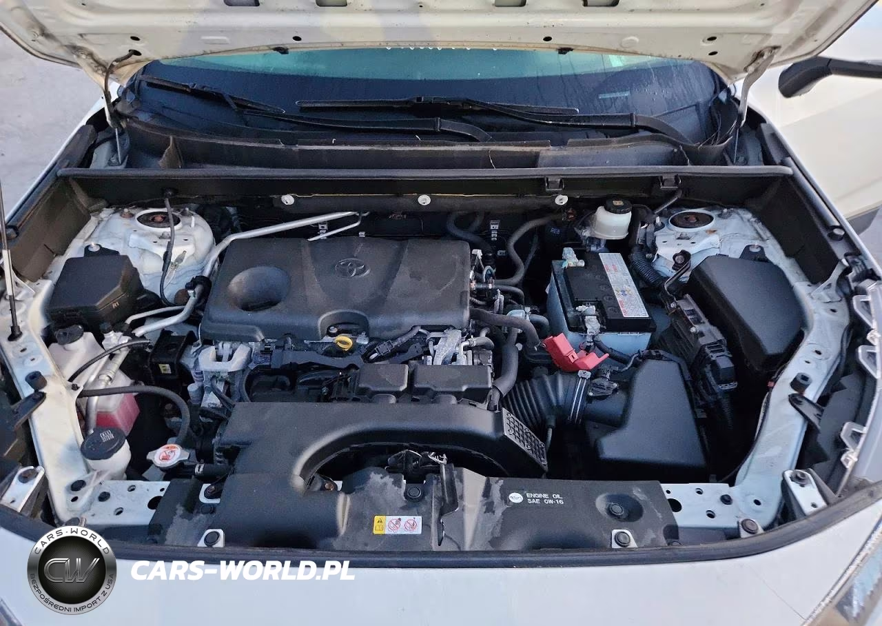 2019 Toyota Rav4 Xle Premium VIN:JTMA1RFV0KJ011814 - 12