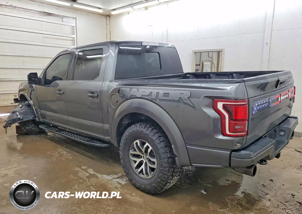 2017 Ford F150 Raptor VIN:1FTFW1RG6HFB62142 - 2