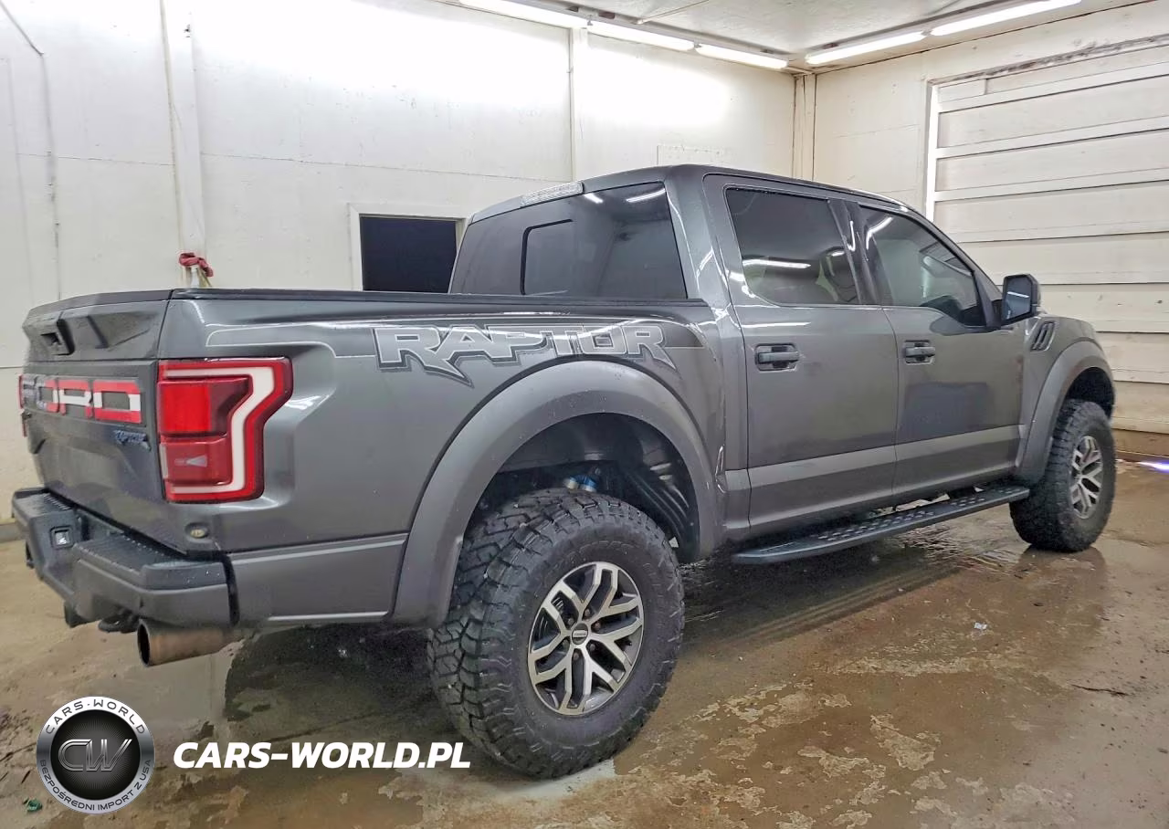 2017 Ford F150 Raptor VIN:1FTFW1RG6HFB62142 - 3