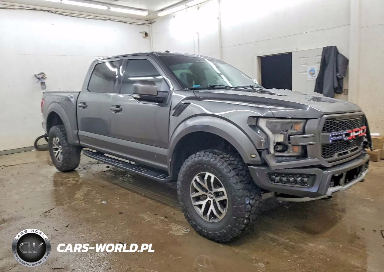 2017 Ford F150 Raptor VIN:1FTFW1RG6HFB62142 - 4