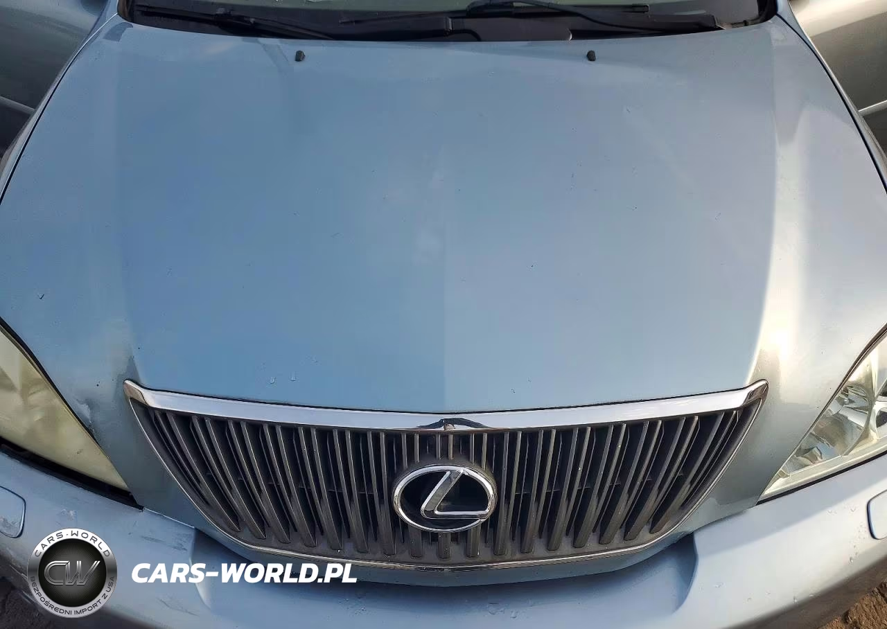 2006 Lexus Rx 330 VIN:2T2GA31U46C050408 - 12