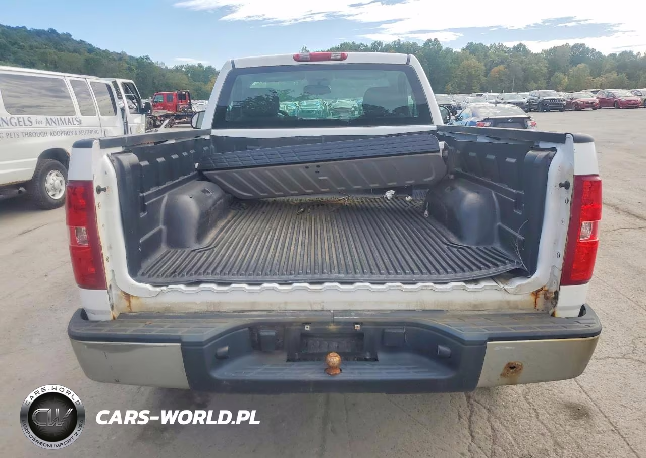 2008 Chevrolet Silverado C1500 VIN:1GCEC14X78Z205249 - 6