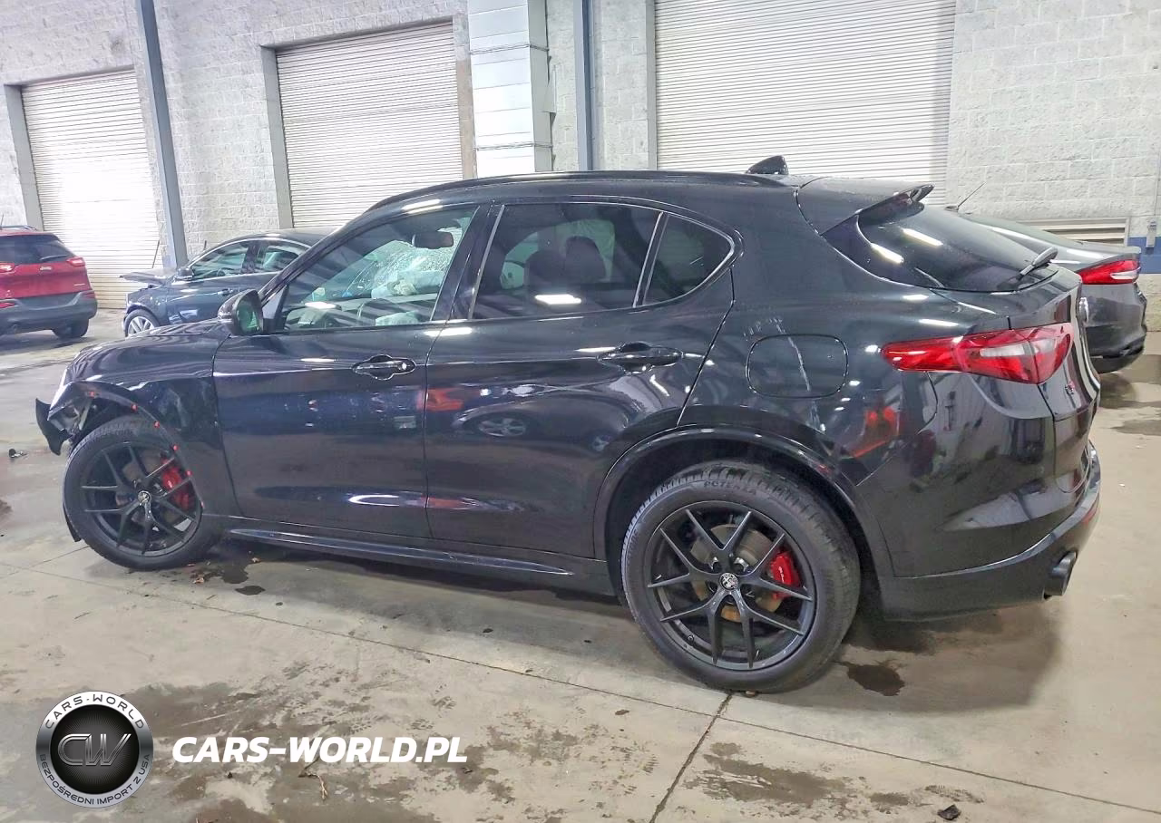 2020 Alfa Romeo Stelvio Ti VIN:ZASPAKBN2L7C83407 - 2