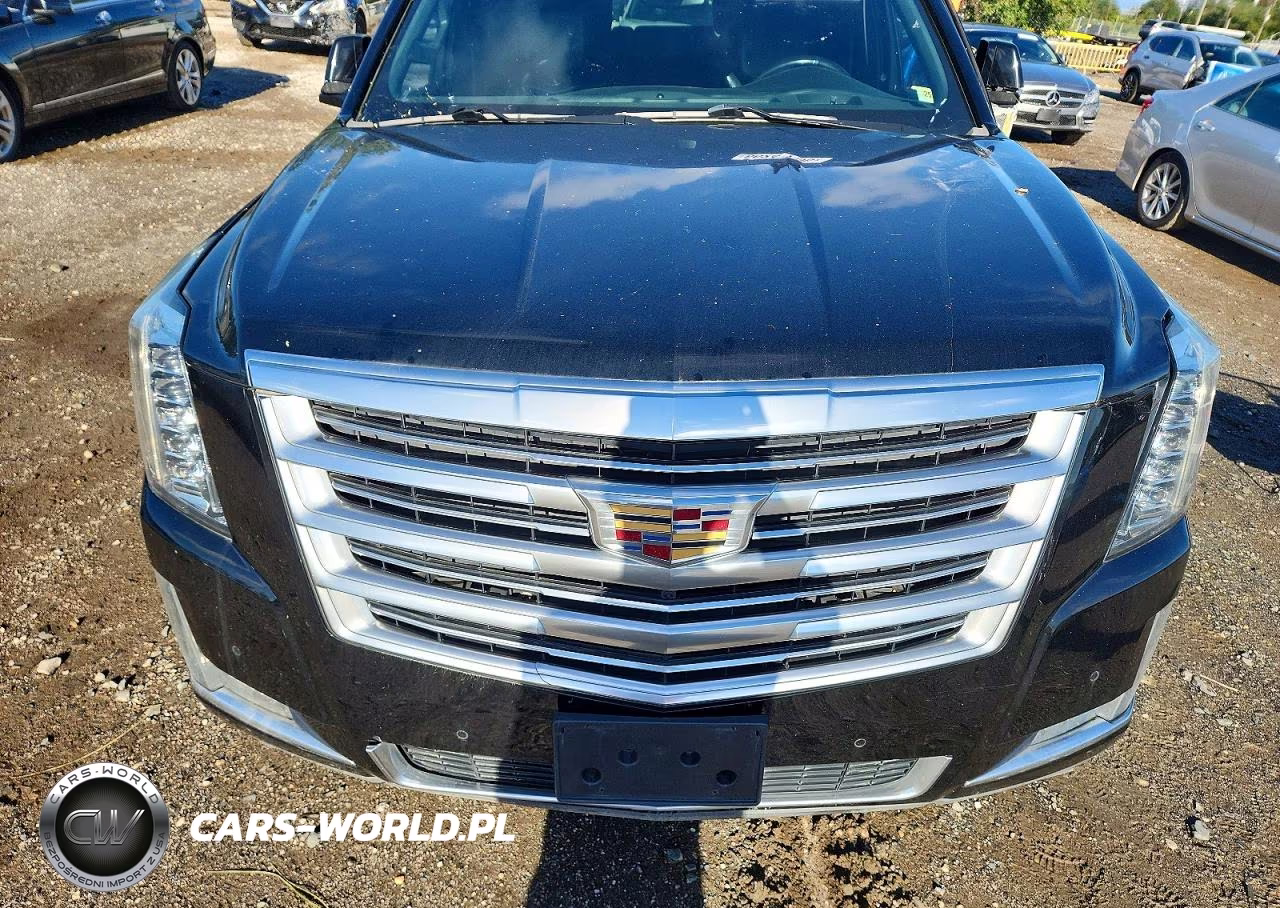 2019 Cadillac Escalade Esv Platinum VIN:1GYS3KKJXKR162910 - 11