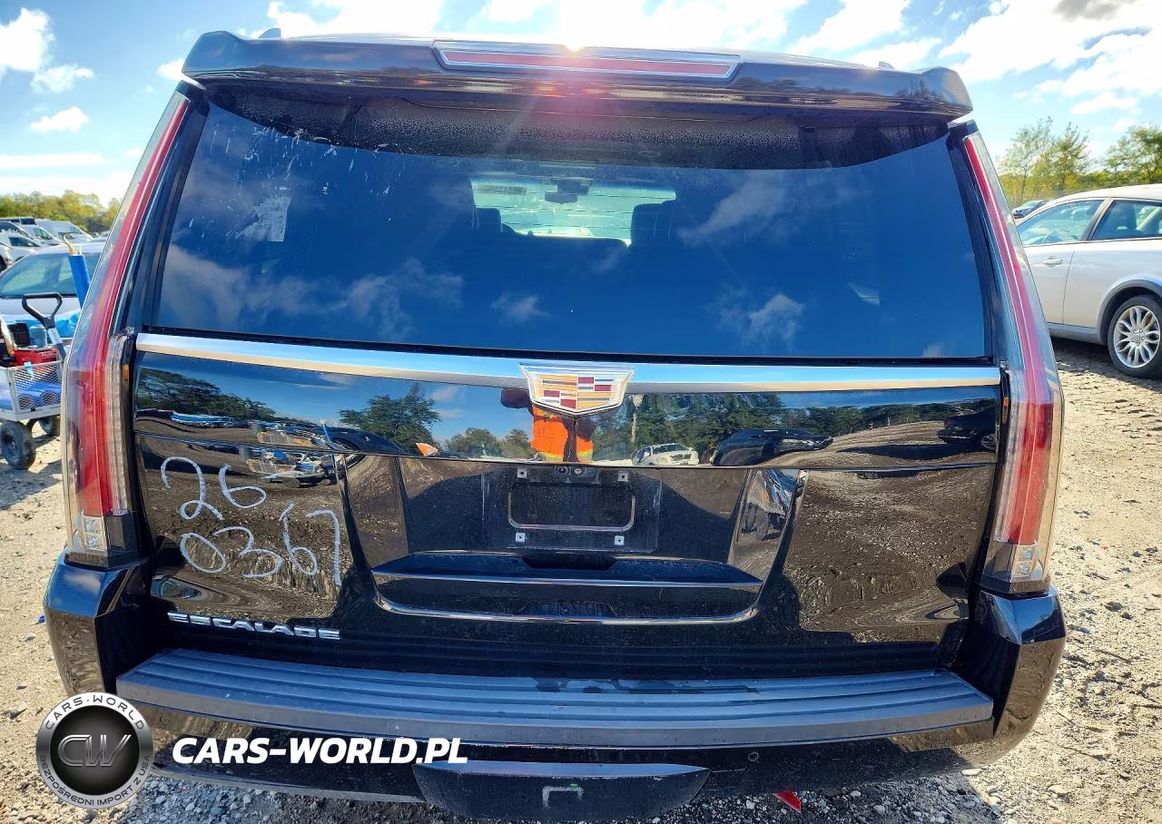 2019 Cadillac Escalade Esv Platinum VIN:1GYS3KKJXKR162910 - 6
